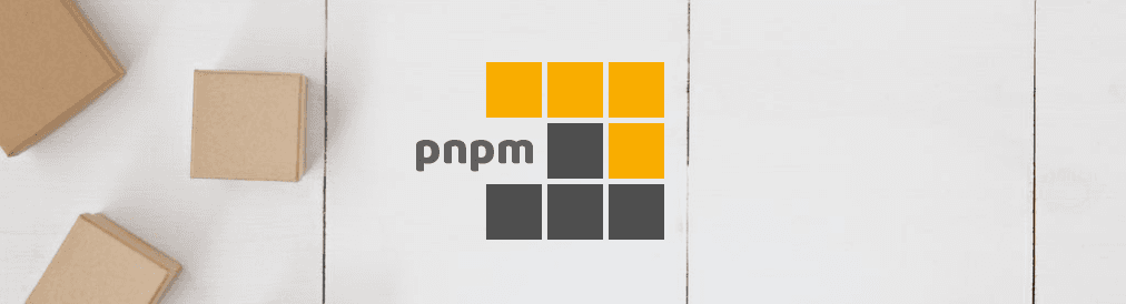 pnpm logo on gay background